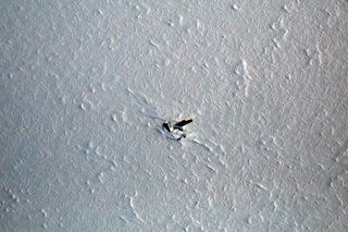Illustration for article titled An Artificial Landmark in the Arctic